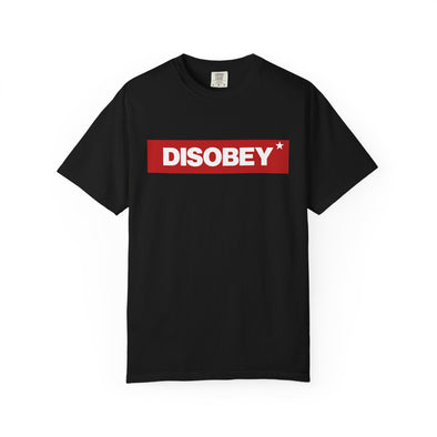 DISOBEY T-shirt Relaxed fit